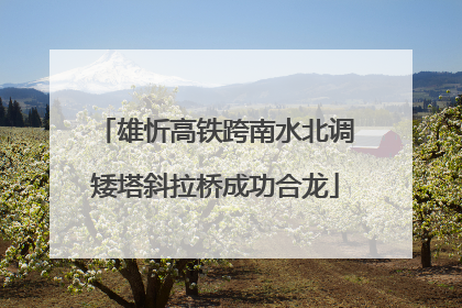 雄忻高铁跨南水北调矮塔斜拉桥成功合龙