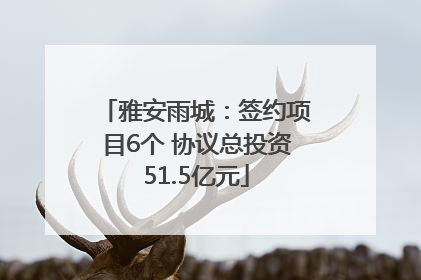 雅安雨城：签约项目6个 协议总投资51.5亿元