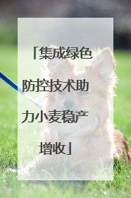 集成绿色防控技术助力小麦稳产增收