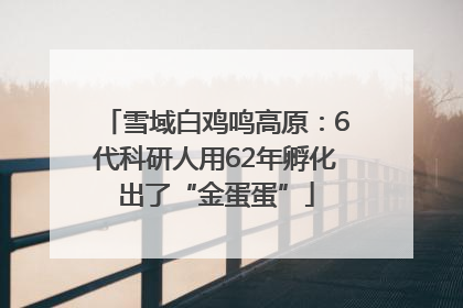 雪域白鸡鸣高原：6代科研人用62年孵化出了“金蛋蛋”