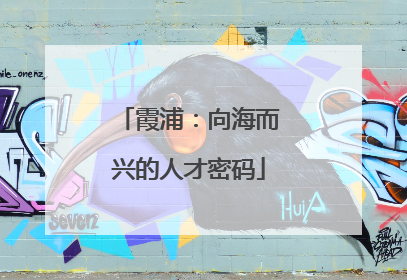 霞浦：向海而兴的人才密码