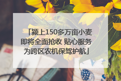 颍上150多万亩小麦即将全面抢收 贴心服务为跨区农机保驾护航