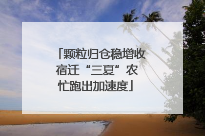 颗粒归仓稳增收 宿迁“三夏”农忙跑出加速度
