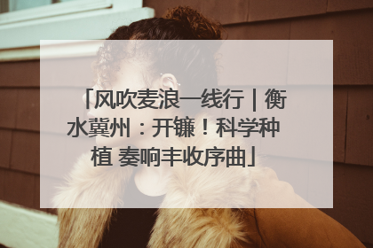 风吹麦浪一线行｜衡水冀州：开镰！科学种植 奏响丰收序曲