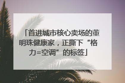 首进城市核心卖场的董明珠健康家，正撕下“格力=空调”的标签