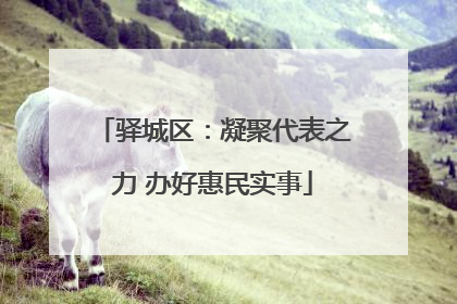 驿城区：凝聚代表之力 办好惠民实事