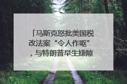 马斯克怒批美国税改法案“令人作呕”，与特朗普早生嫌隙？｜国际识局