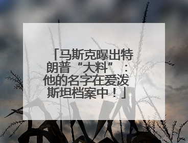 马斯克曝出特朗普“大料”：他的名字在爱泼斯坦档案中！