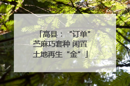 高县：“订单”苎麻巧套种 闲置土地再生“金”