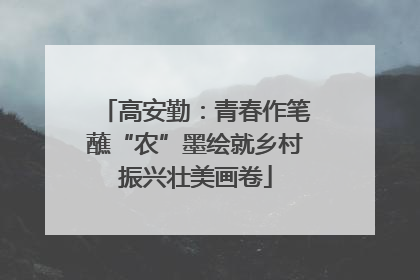 高安勤：青春作笔蘸“农”墨绘就乡村振兴壮美画卷