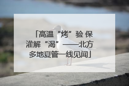 高温“烤”验 保灌解“渴”——北方多地夏管一线见闻