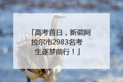 高考首日，新疆阿拉尔市2983名考生逐梦前行！
