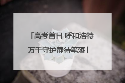高考首日 呼和浩特万千守护静待笔落