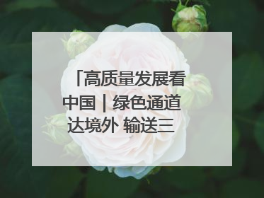 高质量发展看中国｜绿色通道达境外 输送三江“一口鲜”