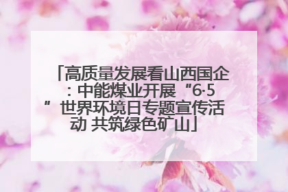 高质量发展看山西国企：中能煤业开展“6·5”世界环境日专题宣传活动 共筑绿色矿山