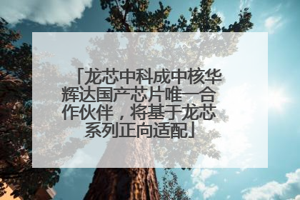 龙芯中科成中核华辉达国产芯片唯一合作伙伴，将基于龙芯系列正向适配