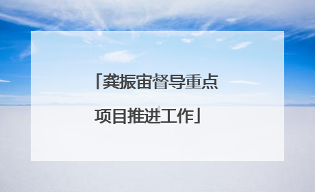 龚振宙督导重点项目推进工作