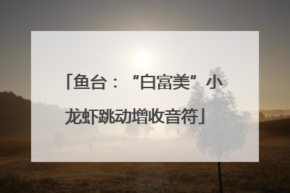 鱼台：“白富美”小龙虾跳动增收音符