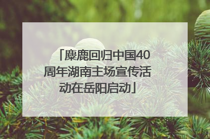 麋鹿回归中国40周年湖南主场宣传活动在岳阳启动
