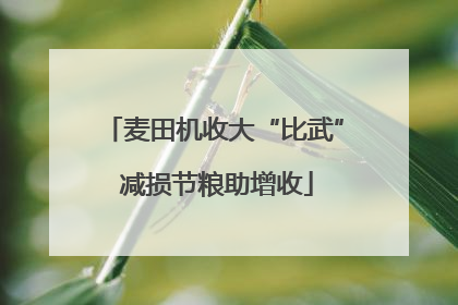 麦田机收大“比武” 减损节粮助增收