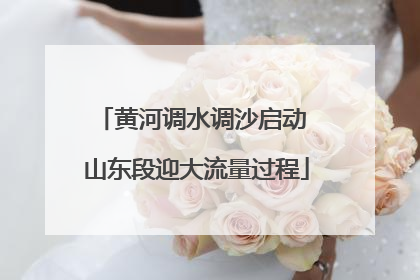 黄河调水调沙启动 山东段迎大流量过程