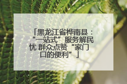 黑龙江省桦南县：“一站式”服务解民忧 群众点赞“家门口的便利”