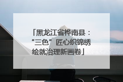 黑龙江省桦南县：“三色”匠心织锦绣 绘就治理新画卷