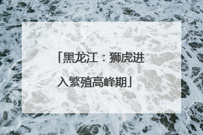 黑龙江：狮虎进入繁殖高峰期