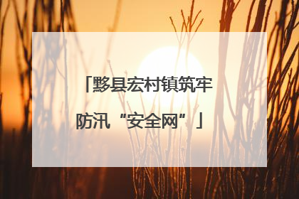 黟县宏村镇筑牢防汛“安全网”