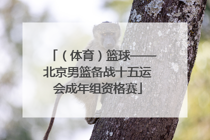（体育）篮球——北京男篮备战十五运会成年组资格赛