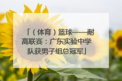 （体育）篮球——耐高联赛：广东实验中学队获男子组总冠军