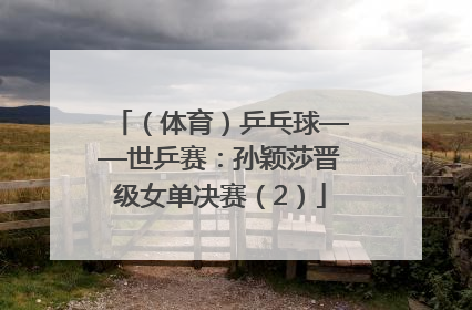 （体育）乒乓球——世乒赛：孙颖莎晋级女单决赛（2）