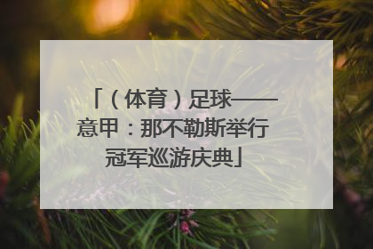 （体育）足球——意甲：那不勒斯举行冠军巡游庆典