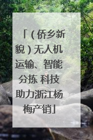 （侨乡新貌）无人机运输、智能分拣 科技助力浙江杨梅产销