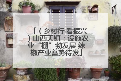 （乡村行·看振兴）山西天镇：设施农业“棚”勃发展 辣椒产业蓄势待发