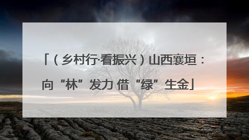 （乡村行·看振兴）山西襄垣：向“林”发力 借“绿”生金