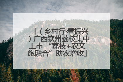（乡村行·看振兴）广西钦州荔枝集中上市 “荔枝+农文旅融合”助农增收