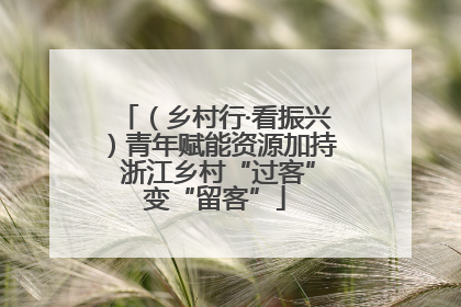 （乡村行·看振兴）青年赋能资源加持 浙江乡村“过客”变“留客”