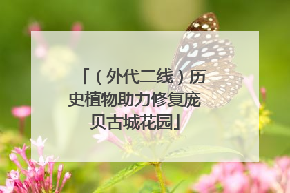 （外代二线）历史植物助力修复庞贝古城花园