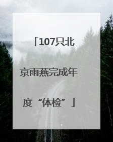 107只北京雨燕完成年度“体检”