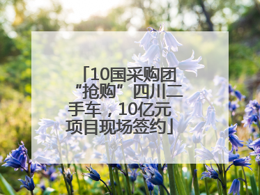 10国采购团“抢购”四川二手车，10亿元项目现场签约