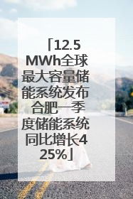 12.5MWh全球最大容量储能系统发布 合肥一季度储能系统同比增长425%