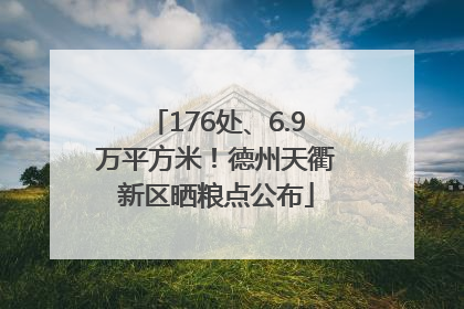 176处、6.9万平方米！德州天衢新区晒粮点公布