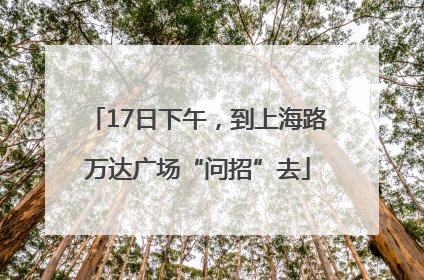 17日下午，到上海路万达广场“问招”去