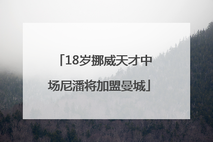 18岁挪威天才中场尼潘将加盟曼城
