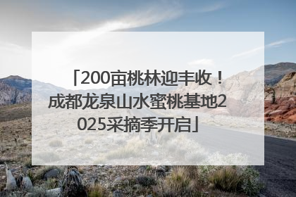 200亩桃林迎丰收！成都龙泉山水蜜桃基地2025采摘季开启