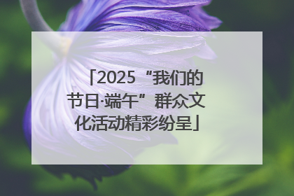 2025“我们的节日·端午”群众文化活动精彩纷呈