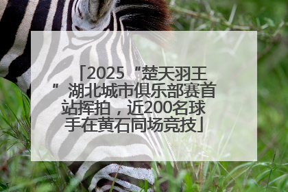 2025“楚天羽王”湖北城市俱乐部赛首站挥拍，近200名球手在黄石同场竞技