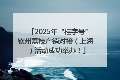 2025年“桂字号”钦州荔枝产销对接（上海）活动成功举办！