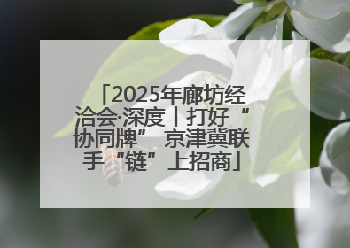 2025年廊坊经洽会·深度丨打好“协同牌” 京津冀联手“链”上招商